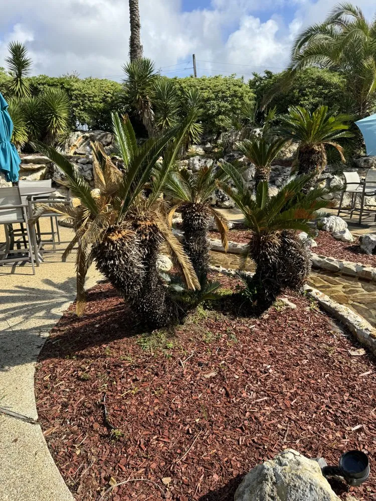 Trusted lawn care service in Saucier, MS - Irrigation Lawn Maintenance Specialist