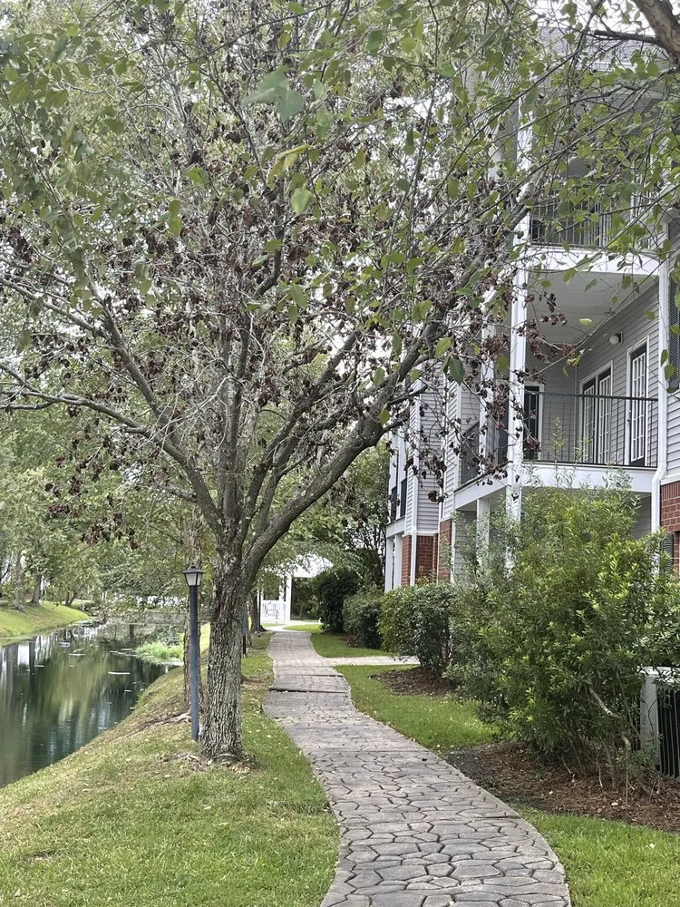 Professional landscape installation for homes in Saucier, MS by Irrigation Lawn Maintenance Specialist