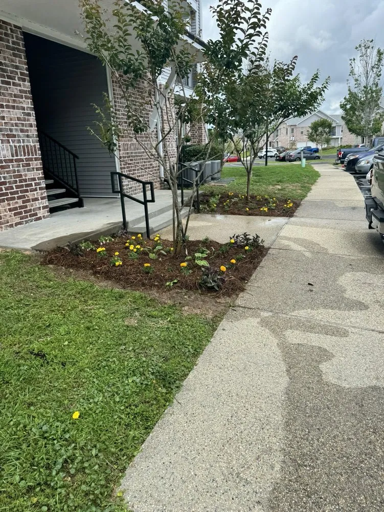 Professional landscaping services for residential properties in Saucier, MS by Irrigation Lawn Maintenance Specialist