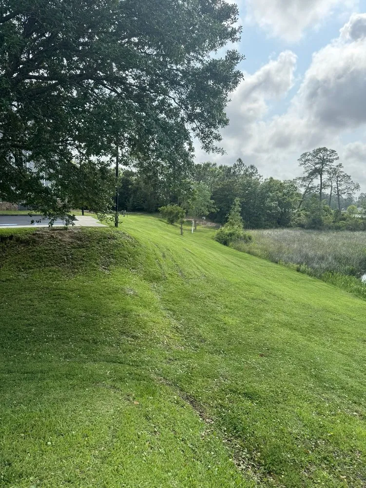 Professional landscaping services in Saucier, MS by Irrigation Lawn Maintenance Specialist