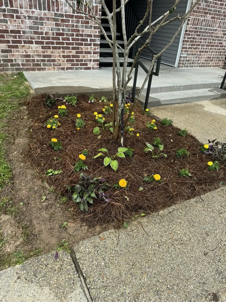 Top-rated yard maintenance in Saucier, MS - Irrigation Lawn Maintenance Specialist