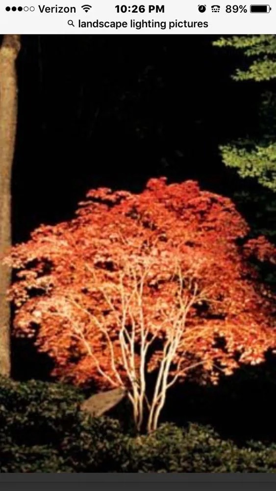 Trusted lawn care service for outdoor upgrades across Concord, NC - Irrigation MD