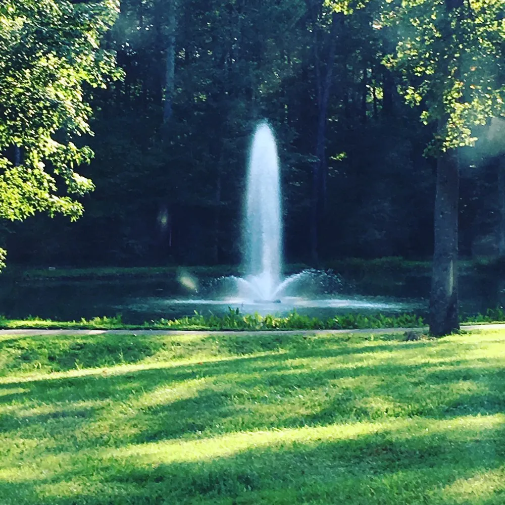 Top-rated yard cleanup service for year-round maintenance across Concord, NC - Irrigation MD