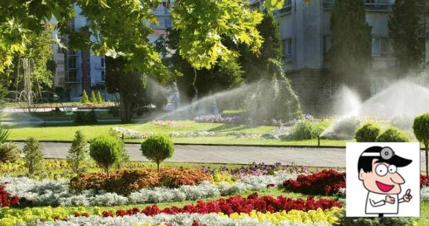 Custom yard cleanup service in Concord, NC - Irrigation MD