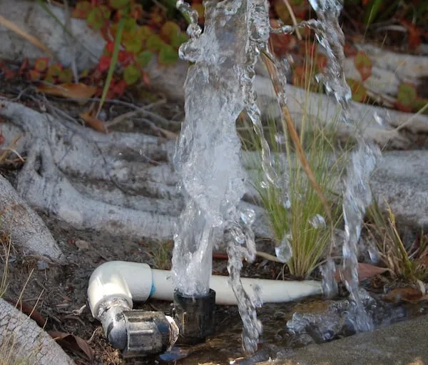 Local lawn care service for beautiful yards in Charleston, SC by Irrigation Medics