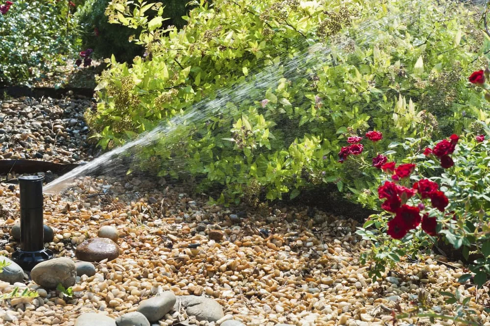 Local residential landscaping experts serving Charleston, SC - Irrigation Medics