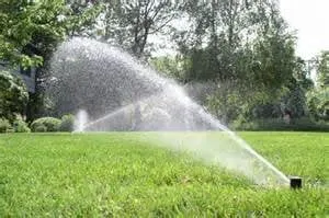 Expert lawn care service with custom design across Charleston, SC - Irrigation Medics