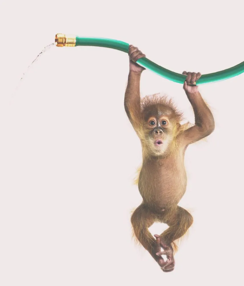 Affordable yard maintenance in Silt, CO - Irrigation Monkey