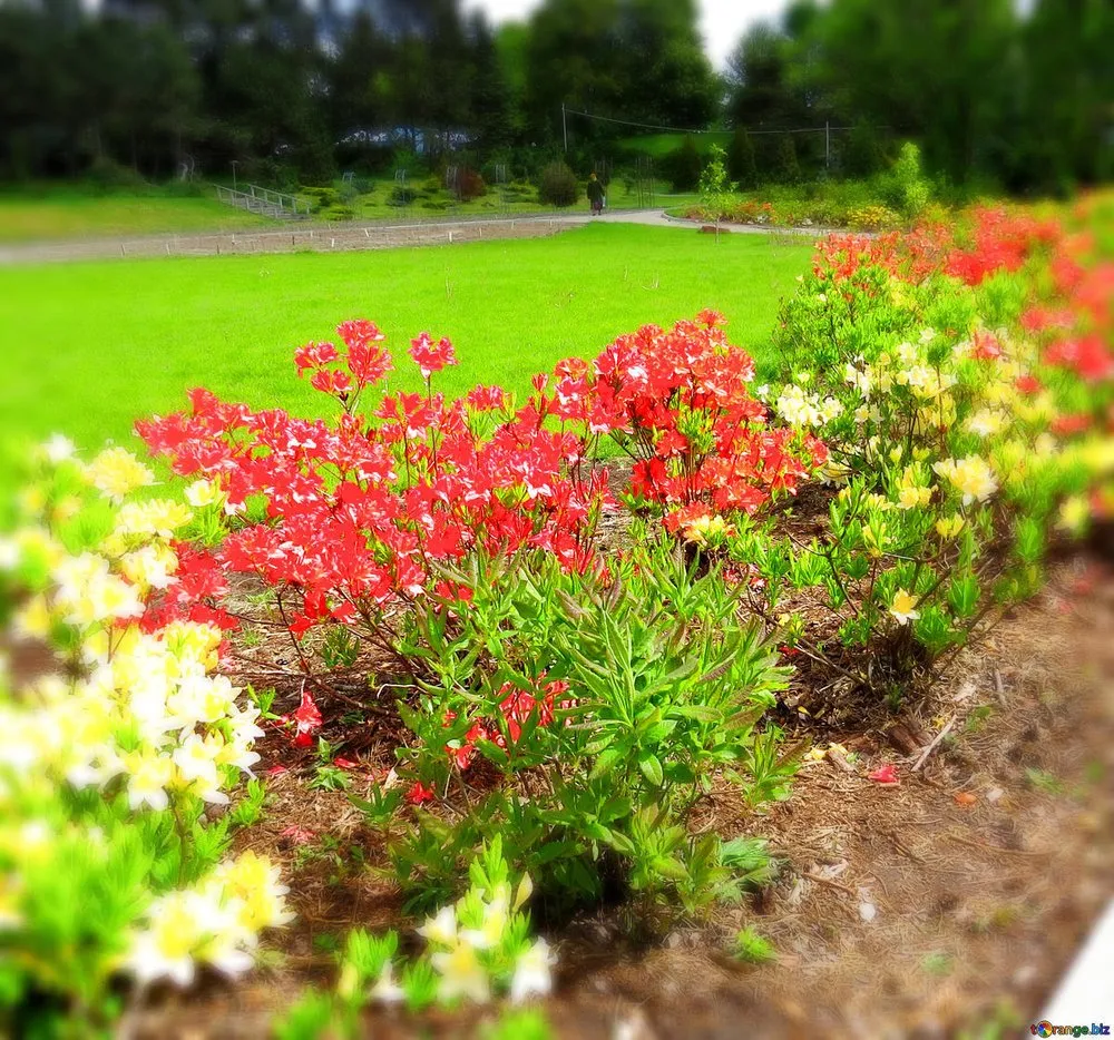 Custom yard maintenance in Mead, WA by Irrigation Northwest