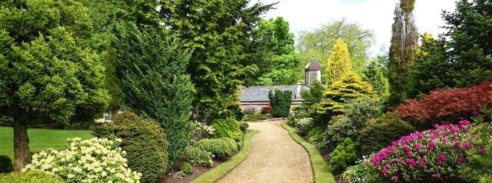 Reliable lawn mowing service in Mead, WA - Irrigation Northwest