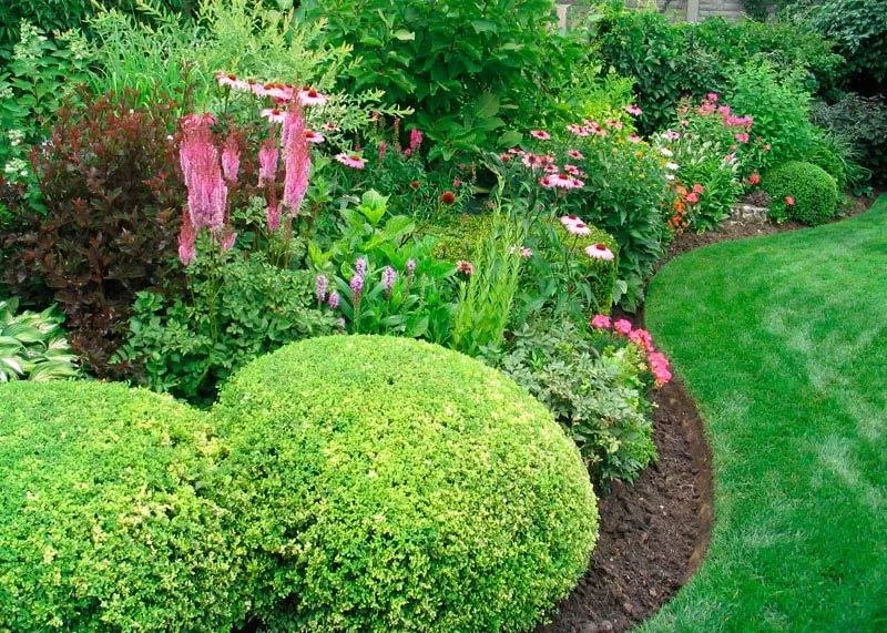 Local lawn mowing service in Mead, WA by Irrigation Northwest