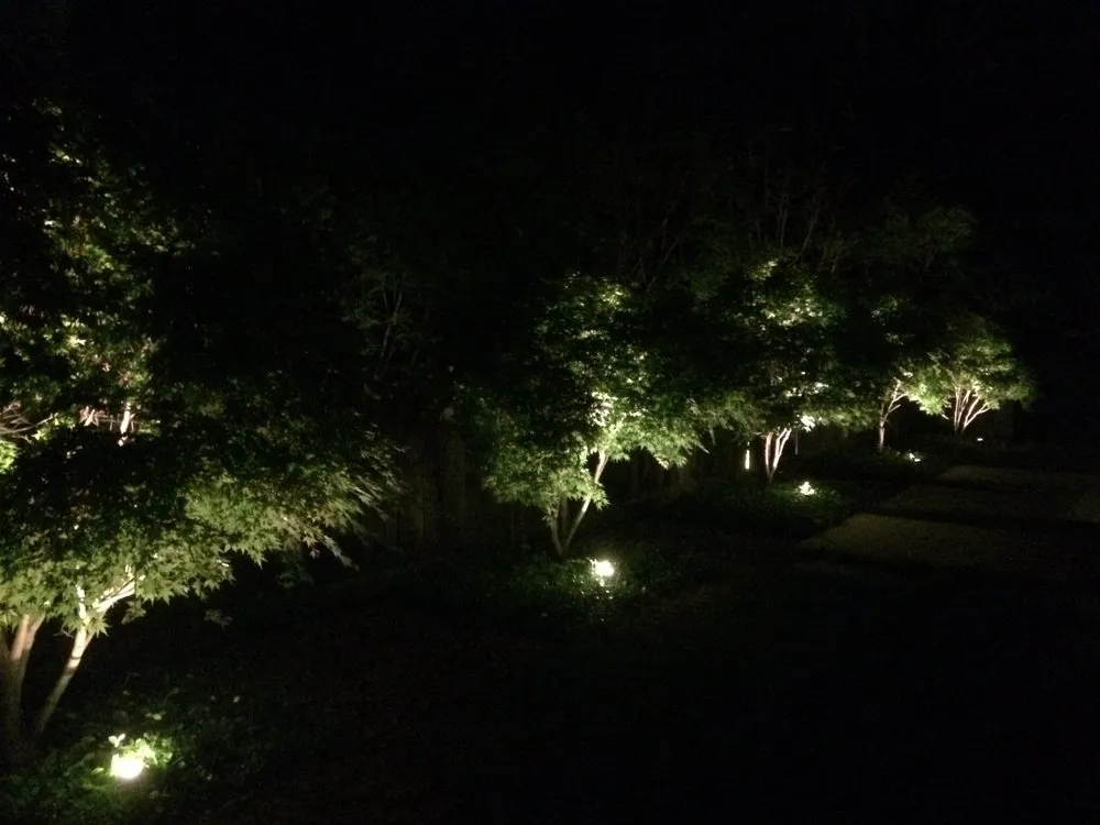 Reliable landscape design experts serving Hot Springs, AR - Irrigation Pro & Landscaping