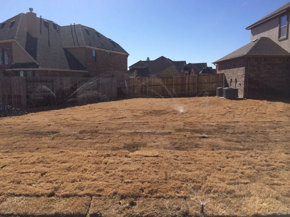 Custom lawn care service in Austin, TX by Irrigation Pro Services