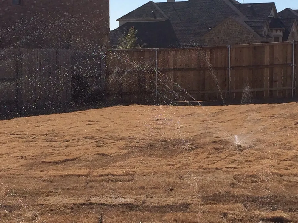 Top-rated outdoor landscaping experts serving Austin, TX - Irrigation Pro Services