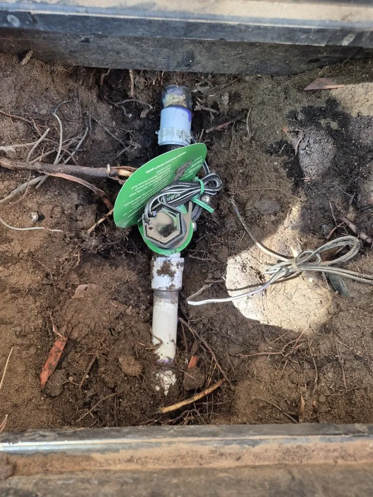 Expert landscape installation experts serving El Paso, TX - Irrigation Pros