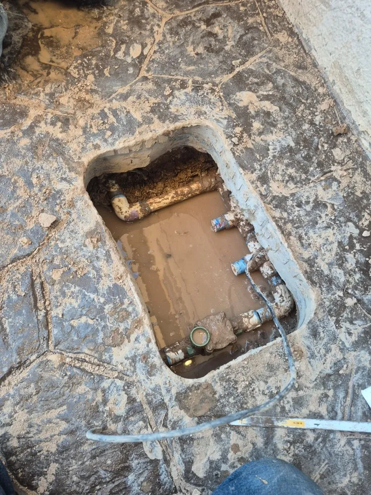 Professional garden landscaping in El Paso, TX by Irrigation Pros