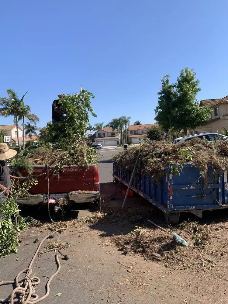 Professional yard maintenance in Santa Ana, CA by Irrigation Pros