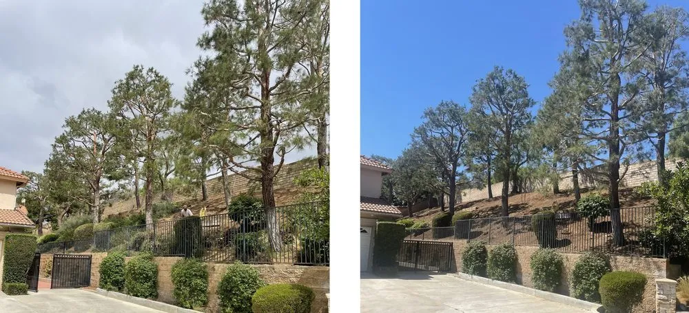 Expert residential landscaping in Santa Ana, CA by Irrigation Pros