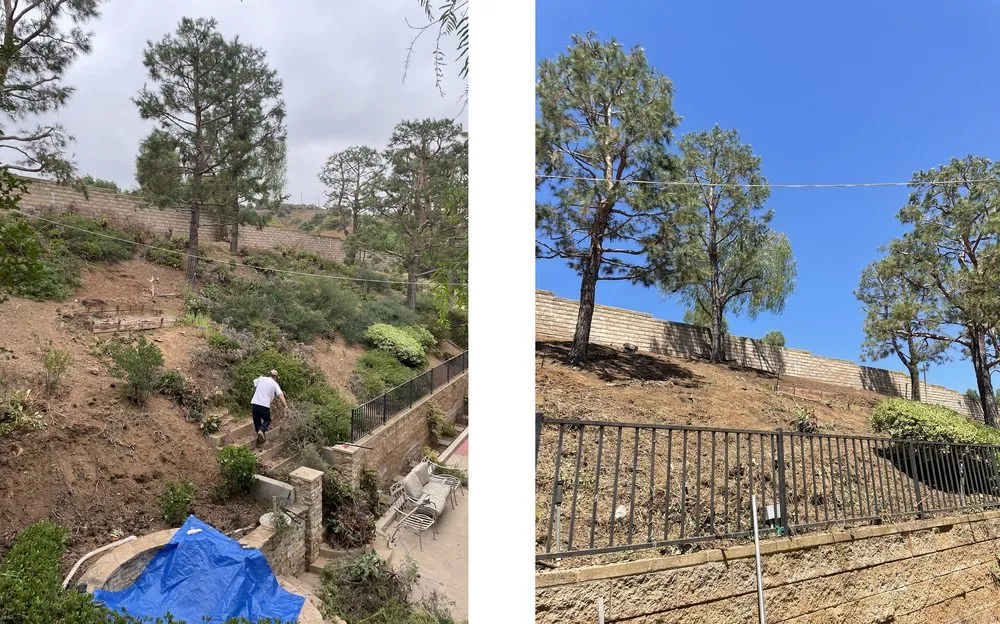 Top-rated landscaping services near you across Santa Ana, CA - Irrigation Pros