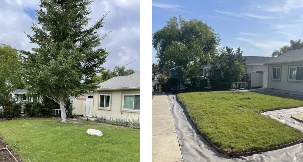Expert yard maintenance in Santa Ana, CA - Irrigation Pros