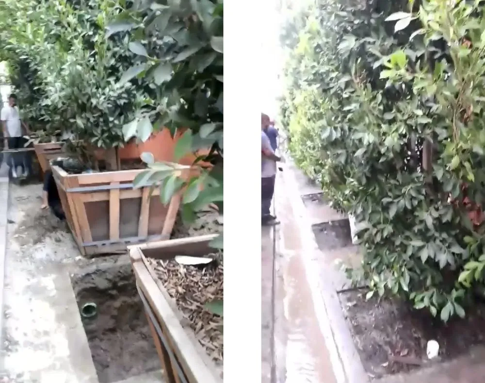 Local lawn mowing service in Santa Ana, CA by Irrigation Pros