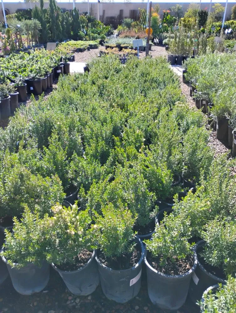 Top-rated residential landscaping in Tempe, AZ - Irrigation repairs