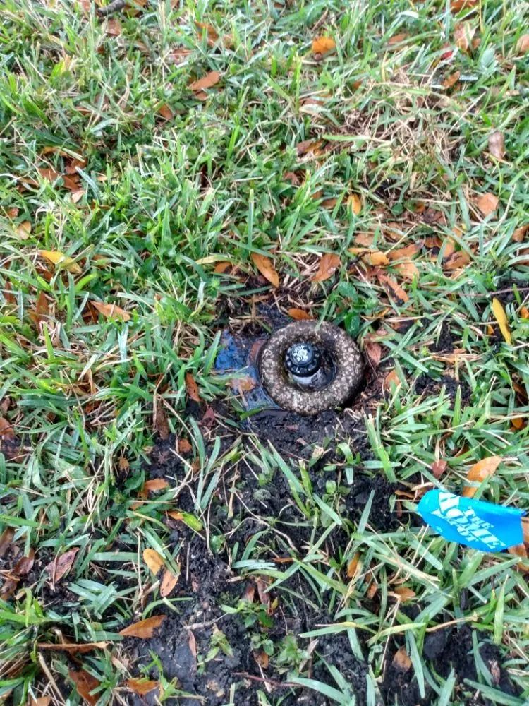 Affordable garden landscaping experts serving Tampa, FL - Irrigation services By Javi & Mari