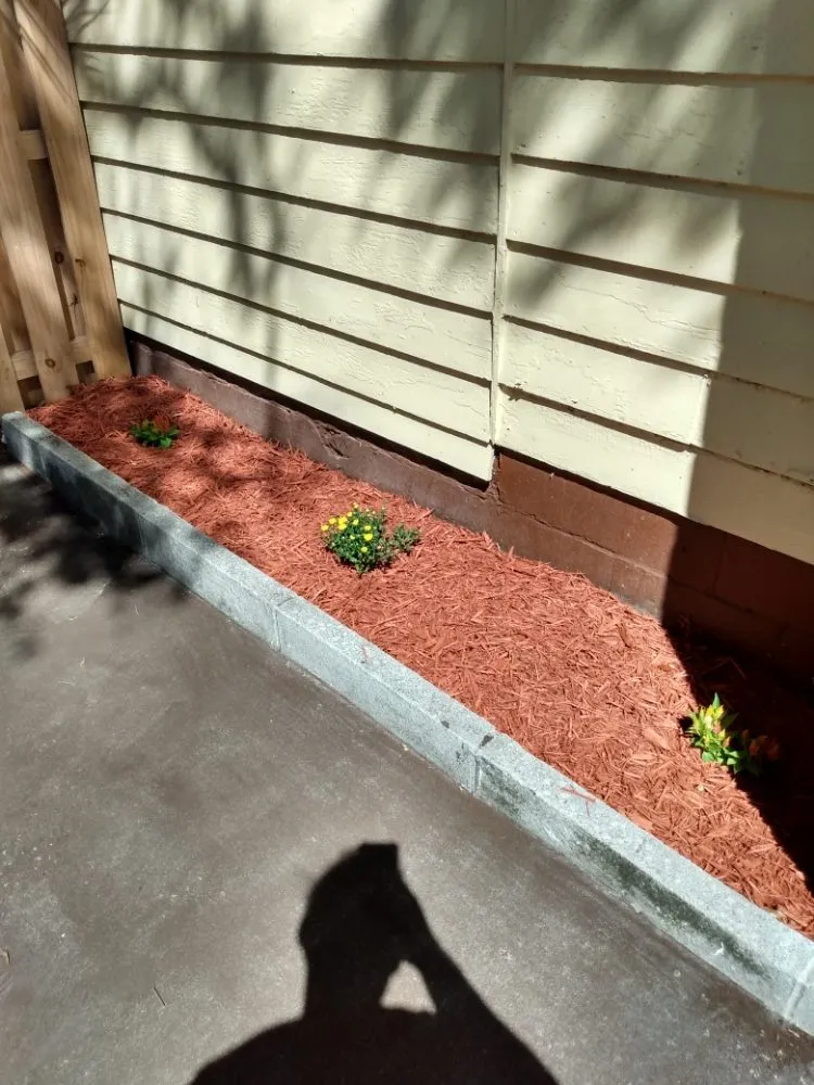 Reliable lawn care service in Tampa, FL - Irrigation services By Javi & Mari