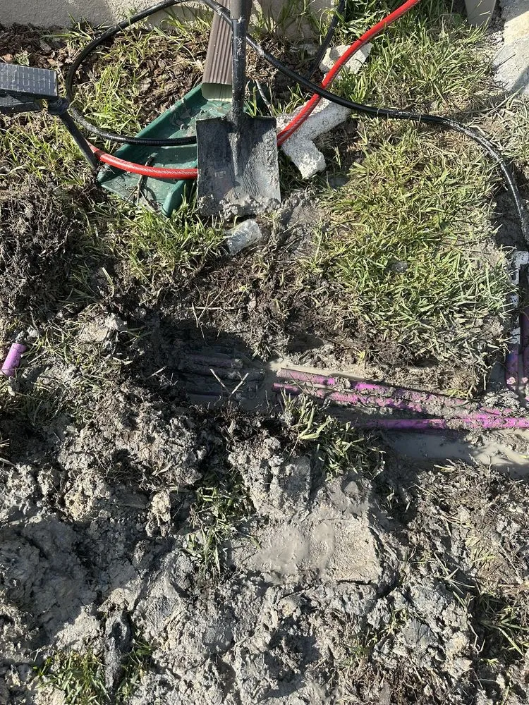 Top-rated yard cleanup service for year-round maintenance in Tampa, FL by Irrigation services By Javi & Mari