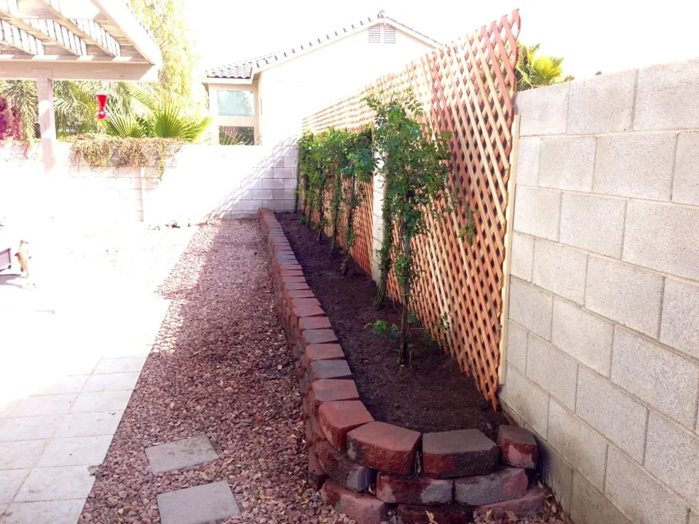 Custom yard maintenance in Las Vegas, NV - Irrigation Solutions - Las Vegas