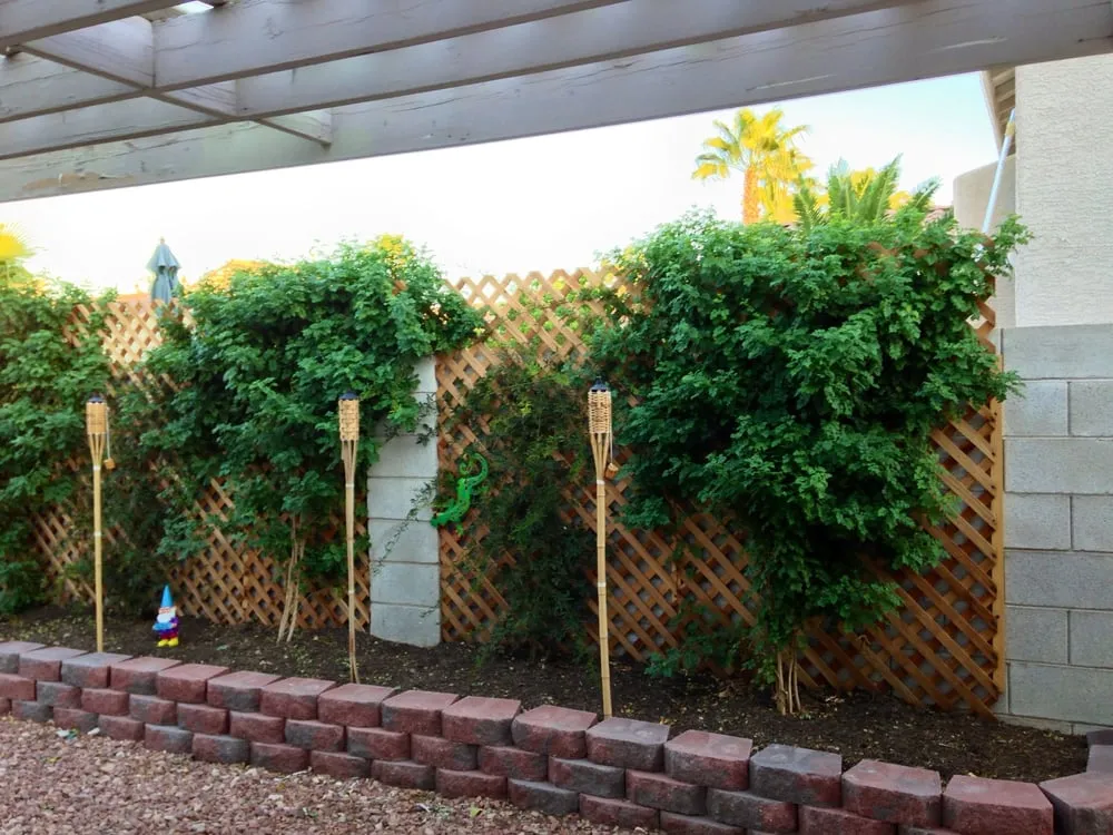 Expert lawn care service experts serving Las Vegas, NV - Irrigation Solutions - Las Vegas