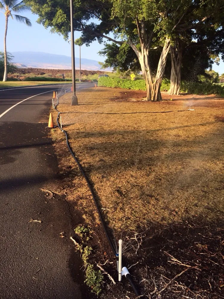 Expert yard cleanup service for outdoor upgrades in Hilo, HI by Irrigation Solutions & Landscape