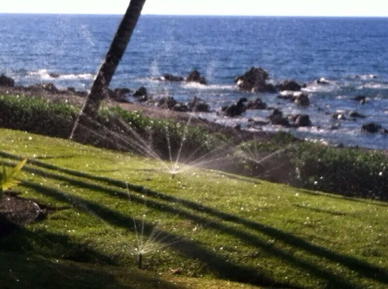 Trusted lawn mowing service for homes in Hilo, HI by Irrigation Solutions & Landscape