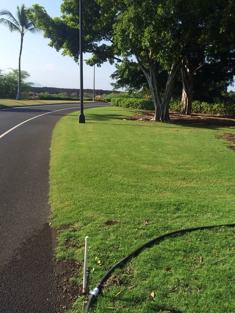 Reliable yard cleanup service with custom design in Hilo, HI by Irrigation Solutions & Landscape