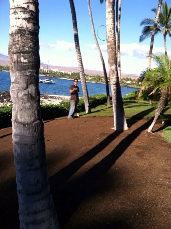 Reliable yard maintenance for homes in Hilo, HI by Irrigation Solutions & Landscape