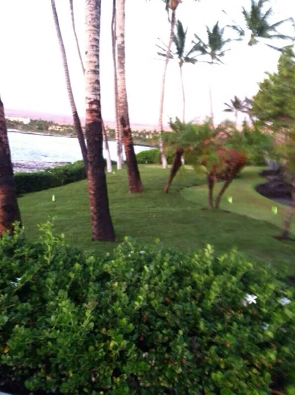 Trusted outdoor landscaping in Hilo, HI - Irrigation Solutions & Landscape