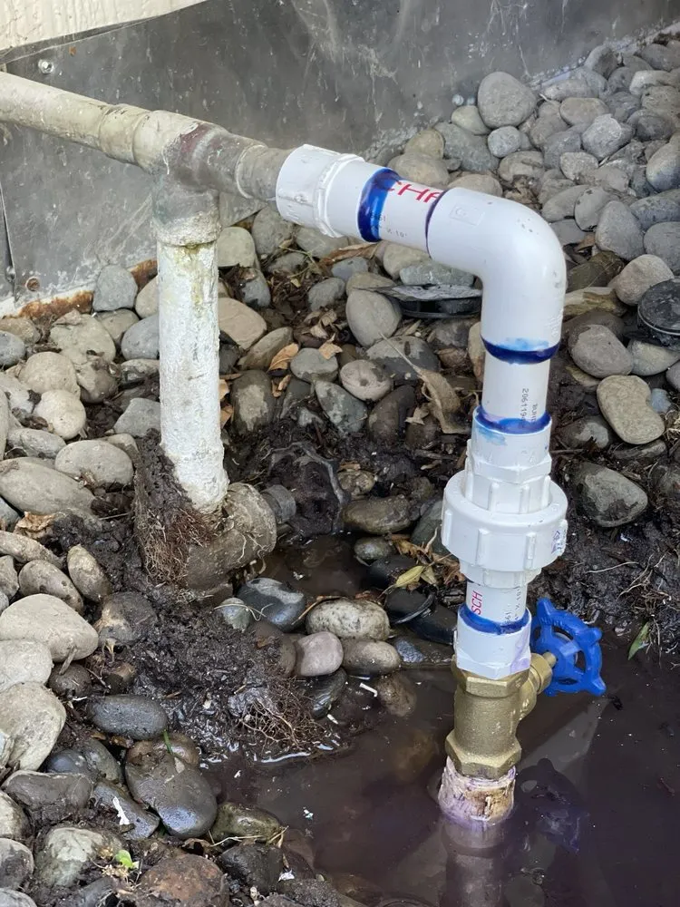 Custom garden landscaping in Manteca, CA by Irrigation Solutions