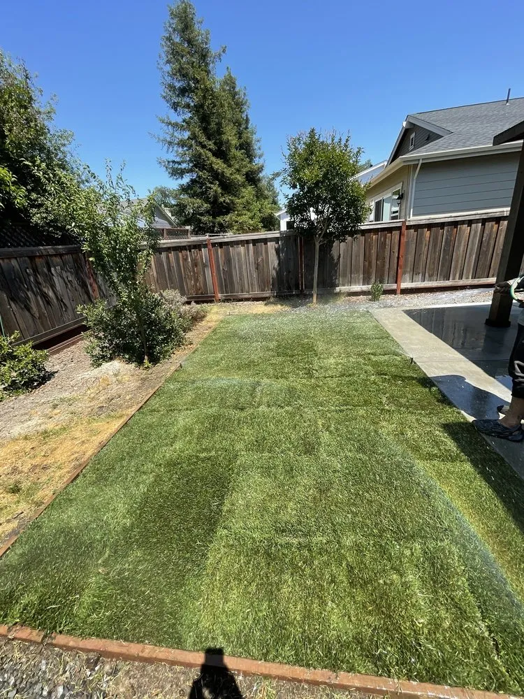 Custom yard cleanup service experts serving Manteca, CA - Irrigation Solutions