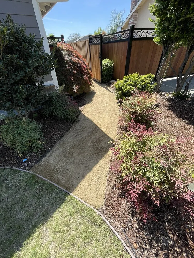 Trusted lawn care service in Manteca, CA by Irrigation Solutions