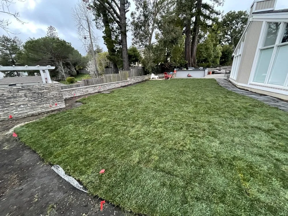 Custom landscape installation in Manteca, CA - Irrigation Solutions