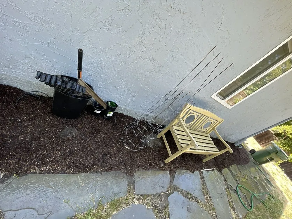 Affordable lawn mowing service for residential properties in Manteca, CA by Irrigation Solutions