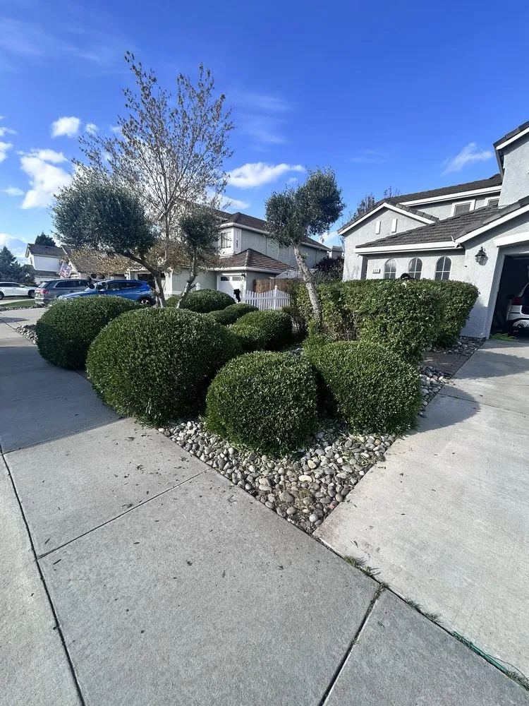 Affordable residential landscaping experts serving Manteca, CA - Irrigation Solutions