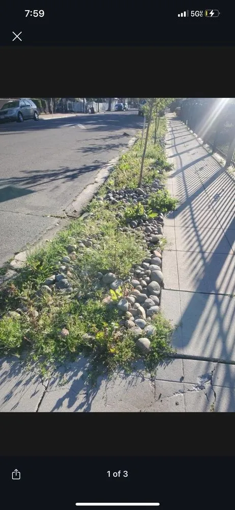 Affordable garden landscaping for outdoor upgrades across Manteca, CA - Irrigation Solutions