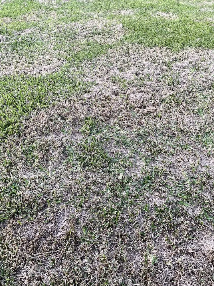 Local garden landscaping in Meadowlakes, TX by Irrigation Solutions