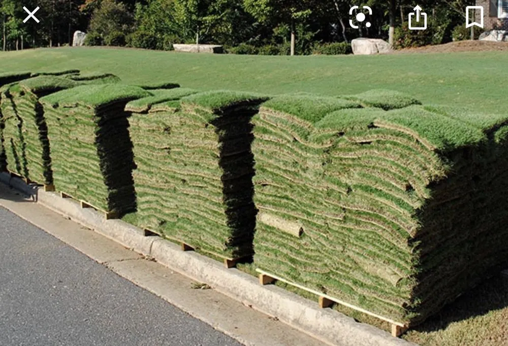 Reliable outdoor landscaping for beautiful yards in Meadowlakes, TX by Irrigation Solutions