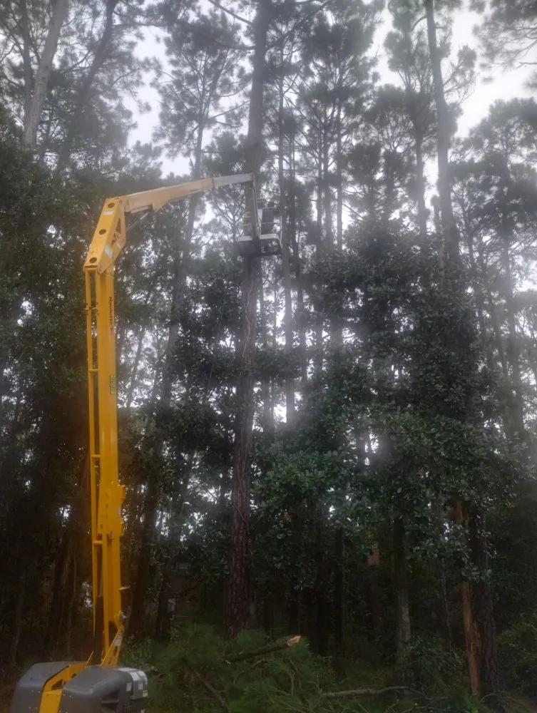 Top-rated yard cleanup service in Mary Esther, FL by Irrigation Specialist Perez