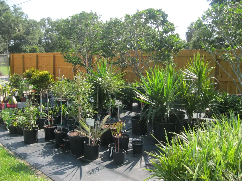 Expert landscaping services in Melbourne, FL - Irrigation Sprinkler Pumps Installation and Repair