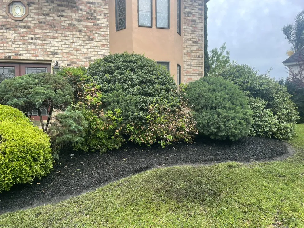 Reliable yard cleanup service for year-round maintenance in Covington, LA by Irrigation Tech Plus