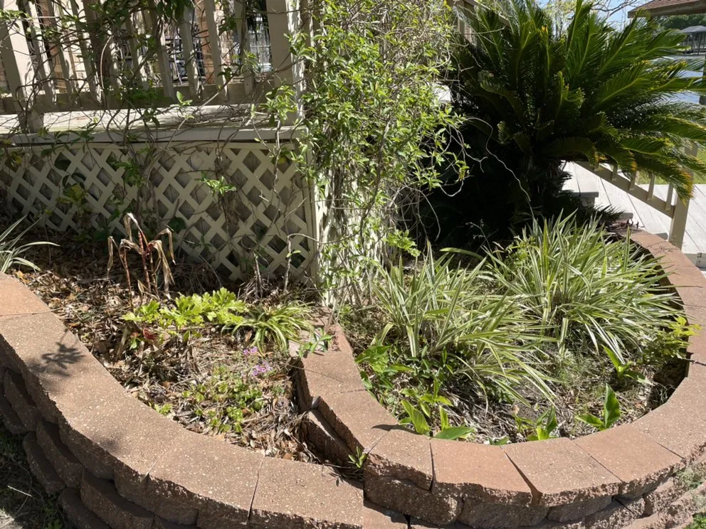 Reliable garden landscaping for residential properties in Covington, LA by Irrigation Tech Plus