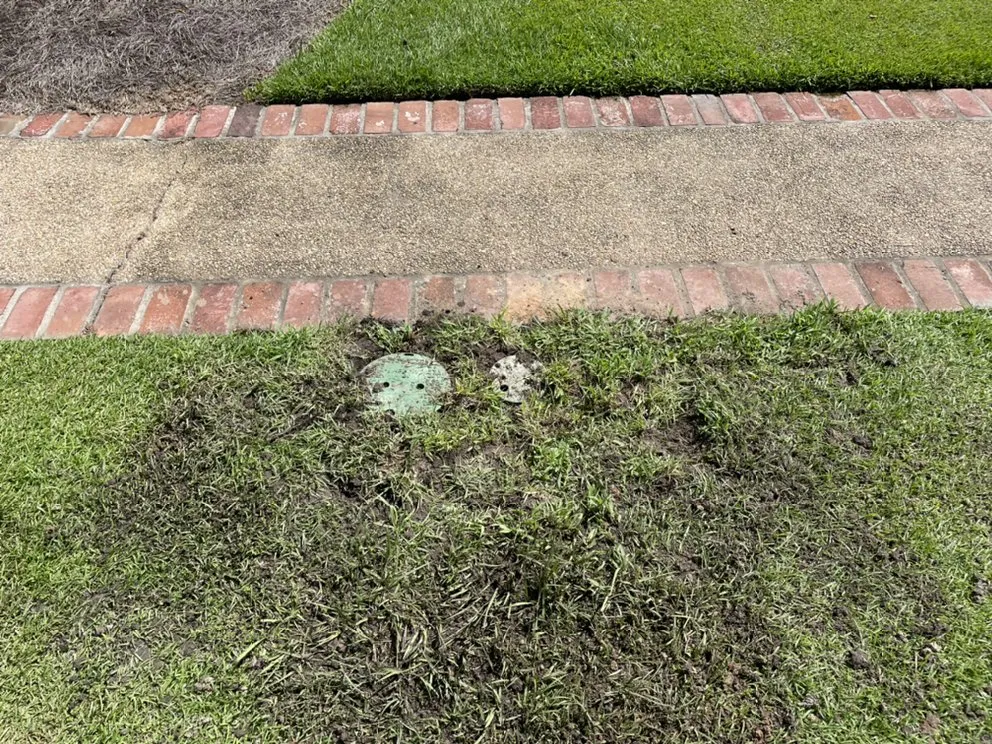 Affordable landscaping services near you in Covington, LA by Irrigation Tech Plus